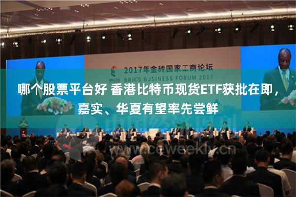 哪个股票平台好 香港比特币现货ETF获批在即，嘉实、华夏有望率先尝鲜