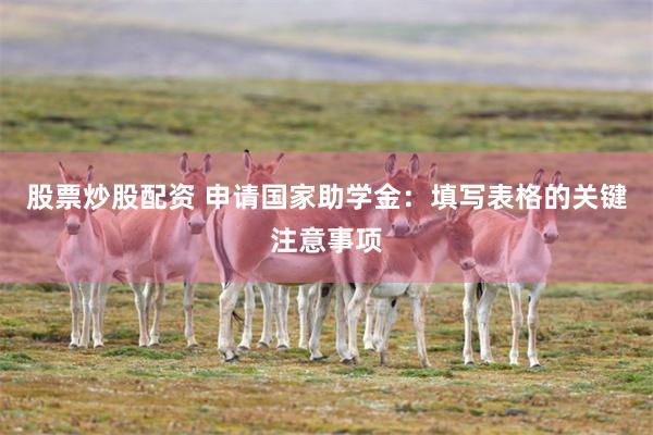 股票炒股配资 申请国家助学金：填写表格的关键注意事项