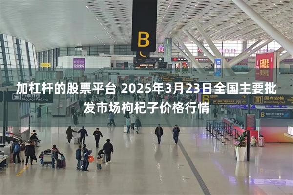 加杠杆的股票平台 2025年3月23日全国主要批发市场枸杞子价格行情