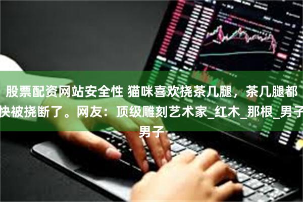 股票配资网站安全性 猫咪喜欢挠茶几腿，茶几腿都快被挠断了。网友：顶级雕刻艺术家_红木_那根_男子