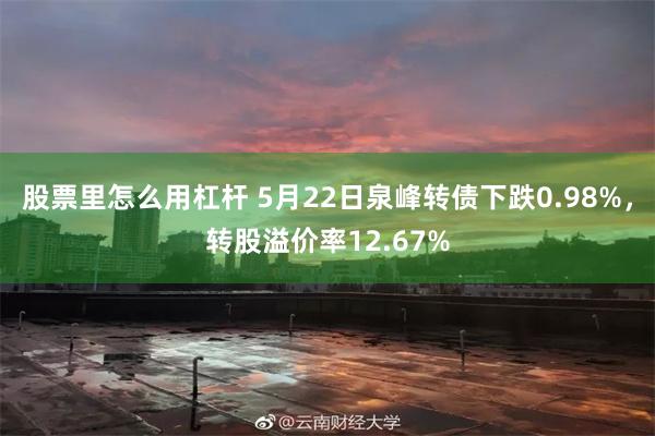 股票里怎么用杠杆 5月22日泉峰转债下跌0.98%，转股溢价率12.67%