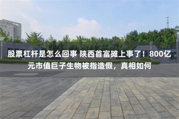 股票杠杆是怎么回事 陕西首富摊上事了！800亿元市值巨子生物被指造假，真相如何