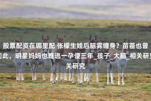 股票配资在哪里配 张檬生娃后脑雾缠身？苗苗也曾如此，明星妈妈也难逃一孕傻三年_孩子_大脑_相关研究