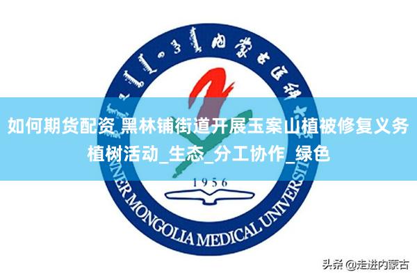 如何期货配资 黑林铺街道开展玉案山植被修复义务植树活动_生态_分工协作_绿色