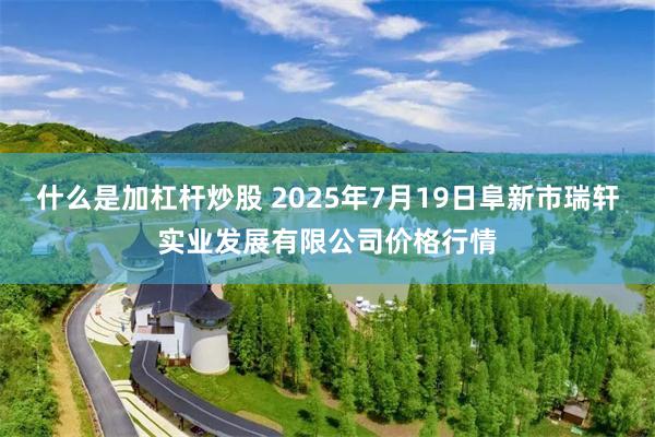 什么是加杠杆炒股 2025年7月19日阜新市瑞轩实业发展有限公司价格行情