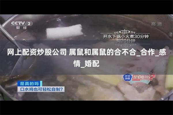 网上配资炒股公司 属鼠和属鼠的合不合_合作_感情_婚配