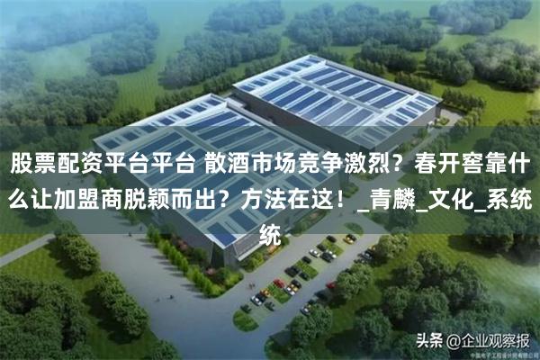 股票配资平台平台 散酒市场竞争激烈？春开窖靠什么让加盟商脱颖而出？方法在这！_青麟_文化_系统